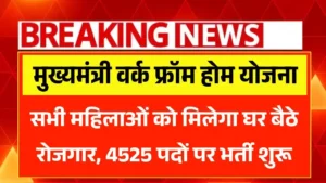 Mukhyamantri Work From Home Yojana
