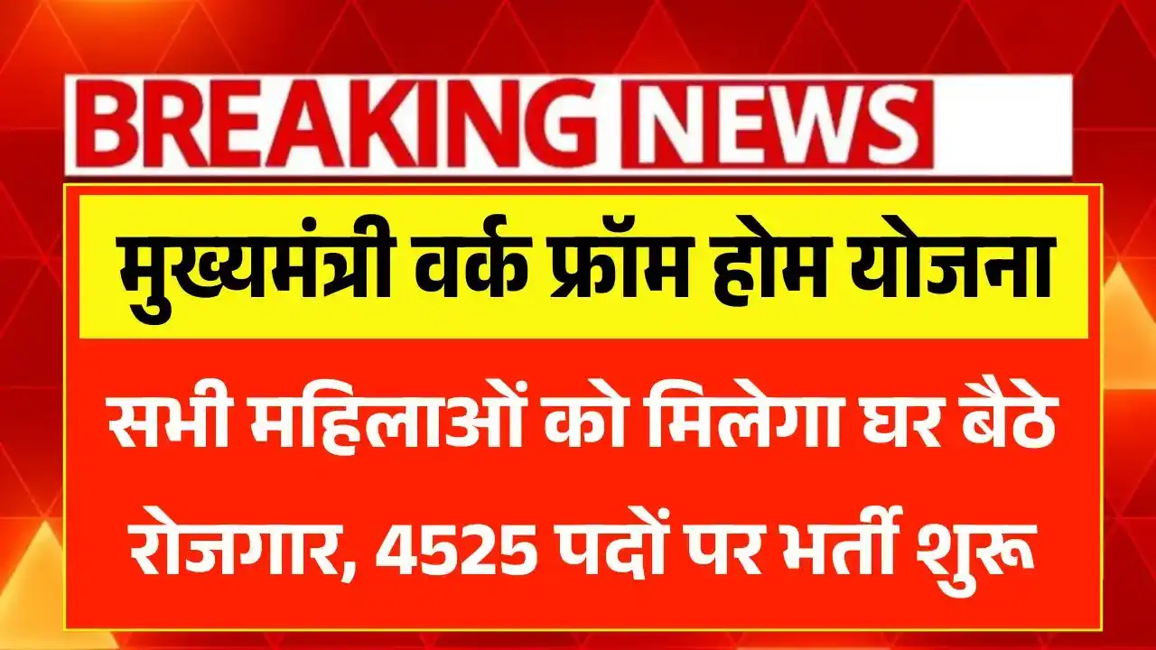 Mukhyamantri Work From Home Yojana